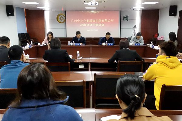中小擔(dān)保領(lǐng)導(dǎo)赴北海、防城港調(diào)研 