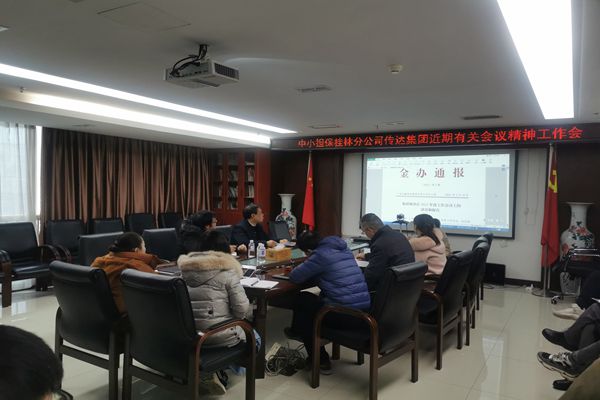 中小擔(dān)保桂林分公司召開專題會議傳達(dá)落實(shí)集團(tuán)近期有關(guān)會議精神