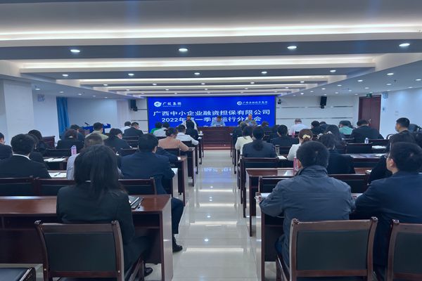 中小擔(dān)保召開 2022年一季度運(yùn)行分析會