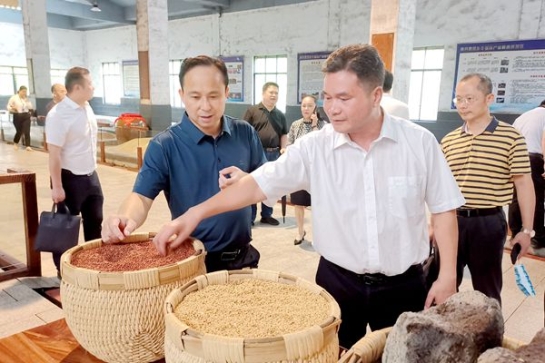 中小擔保領導赴區(qū)內各地市開展“雙過半”督導