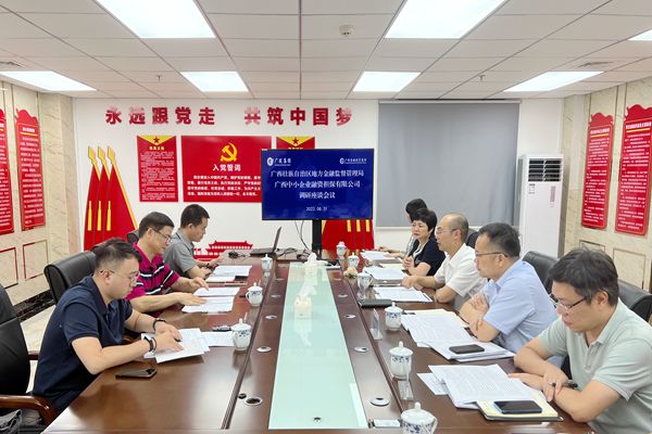 自治區(qū)地方金融監(jiān)管局到中小擔保調研